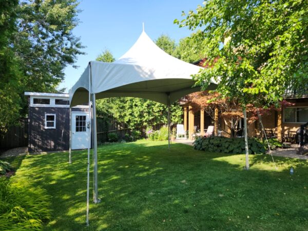 10' x 10' Tent - Image 4