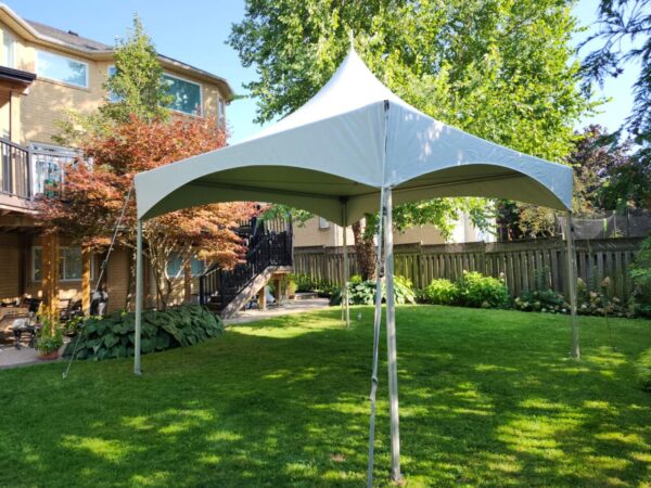 10' x 10' Tent - Image 5