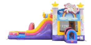 Unicorn Party DRY Combo